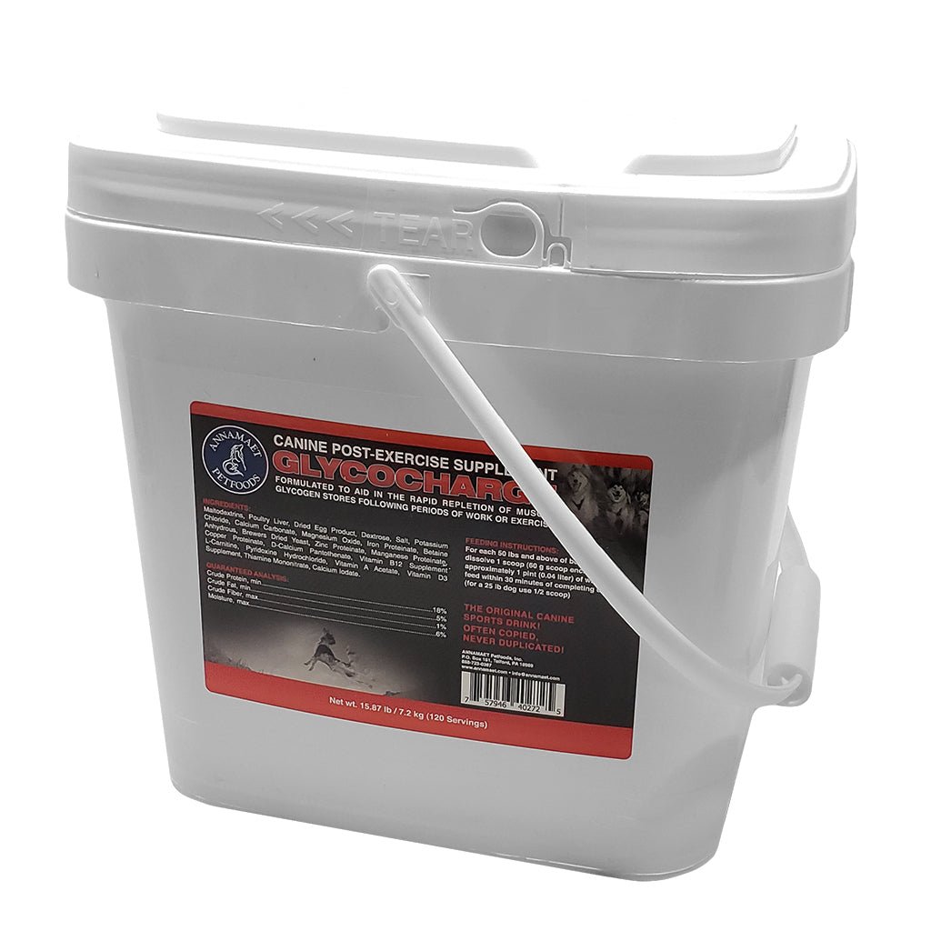 Dog Recovery Supplement product image 6