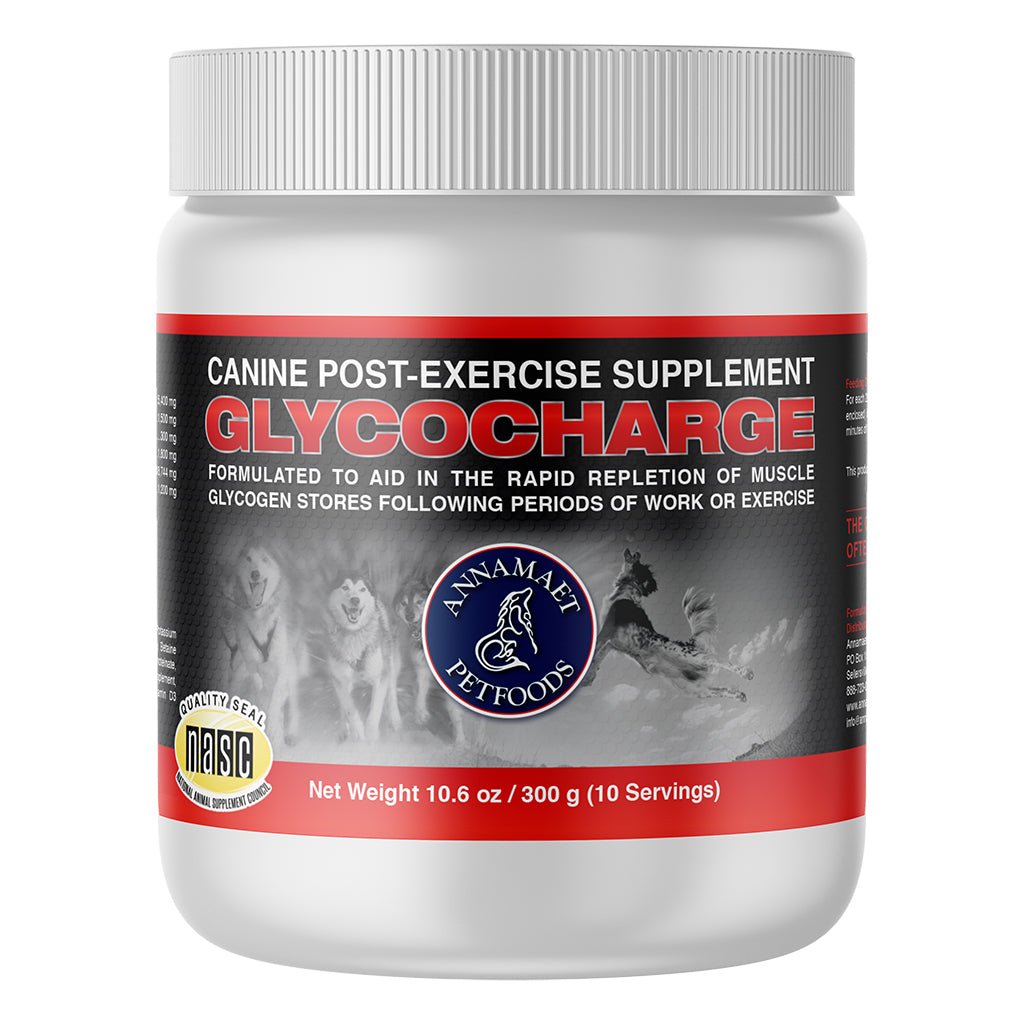 Dog Recovery Supplement product image 10