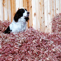 Dog House Bedding product image 1