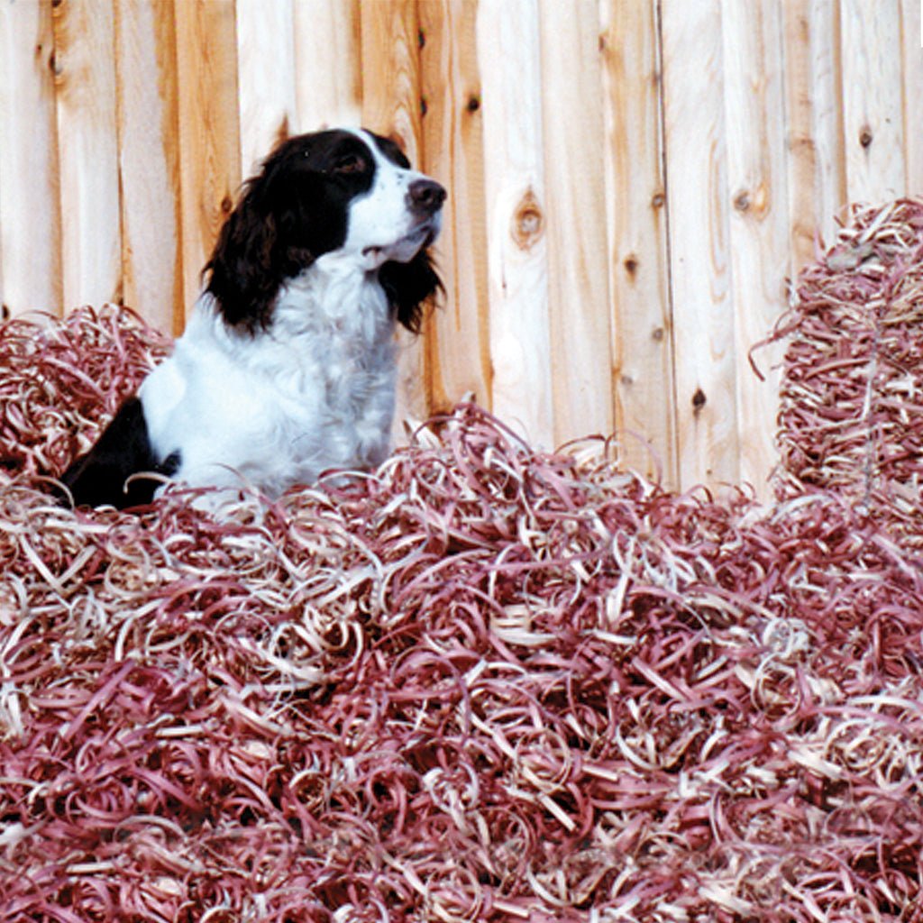 Dog House Bedding product image 1