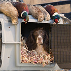 Dog House Bedding product image 2
