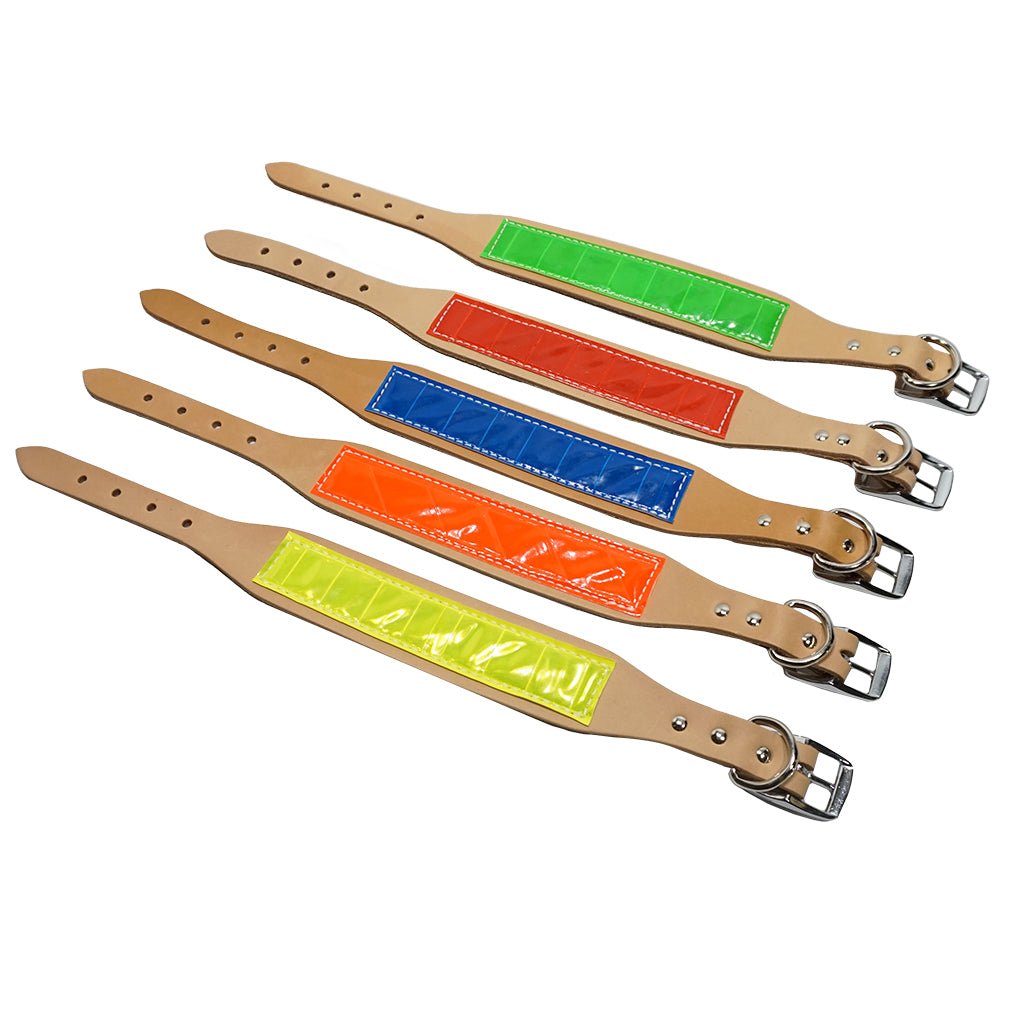 Reflective Dog Collar product image 1