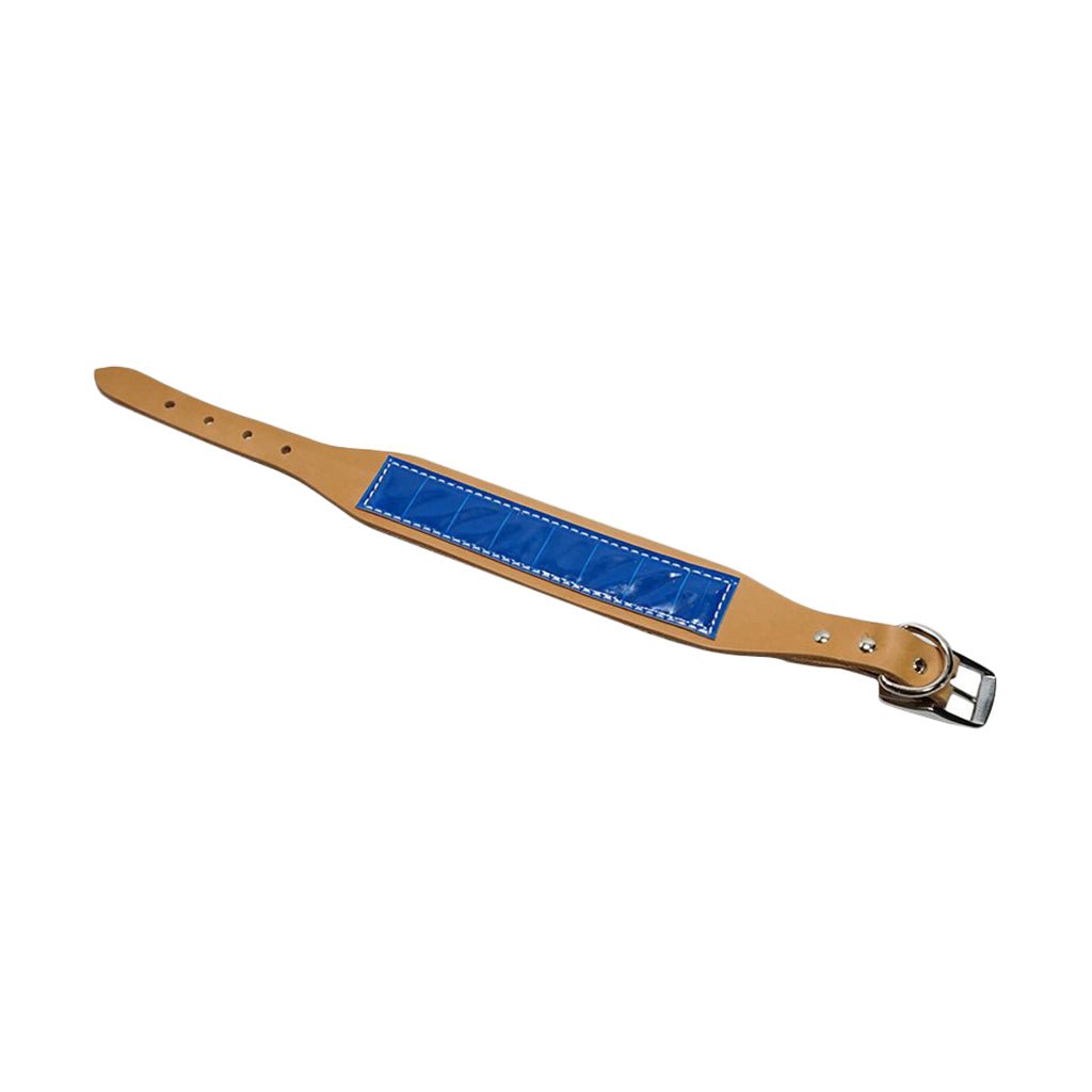 Reflective Dog Collar product image 4