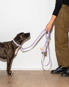 Leash-Attached Dog Waste Bag Dispenser product image 16