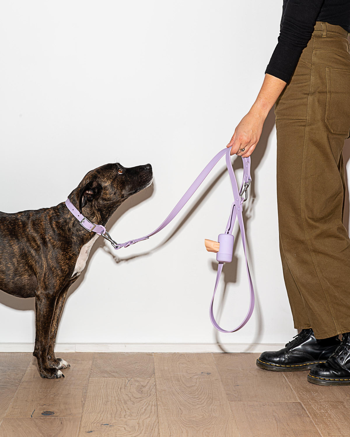 Leash-Attached Dog Waste Bag Dispenser product image 16