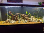 Planted Aquarium Soil Base Layer product image 11