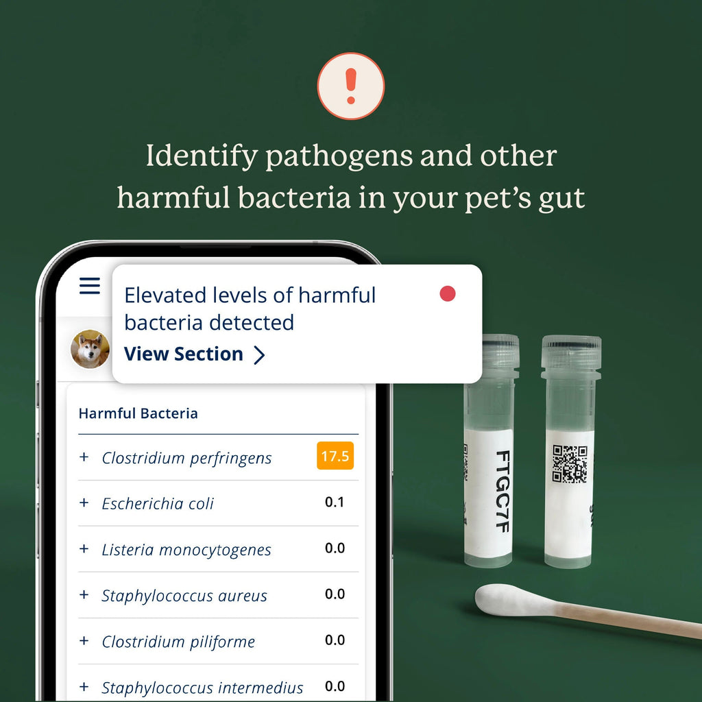Dog Gut Microbiome Test Kit product image 5
