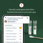 Dog Gut Microbiome Test Kit product image 5