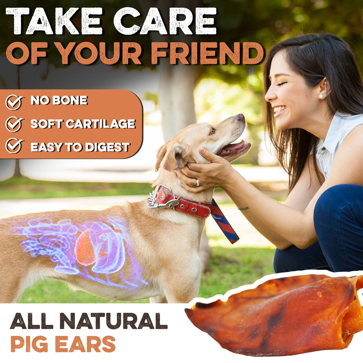 All natural pig ears dog chew treat, no bone, soft cartilage, easy to digest, safe for dogs