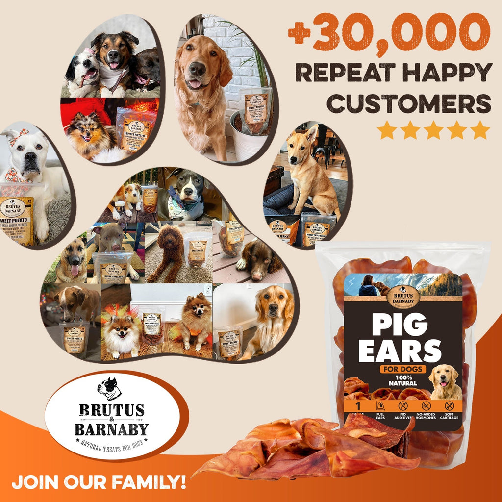 Pig ears for dogs, 100% natural chews with happy customer photos and brand logo