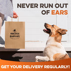 Happy dog looking at Brutus & Barnaby treat bag with 'Never Run Out of Ears' text, promoting regular delivery of natural dog chews.