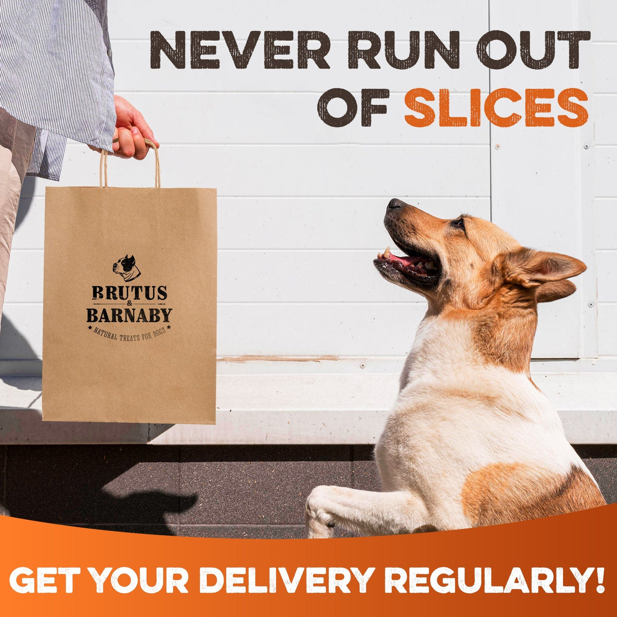 Happy dog looking at Brutus & Barnaby natural dog treat bag, never run out of slices with regular delivery