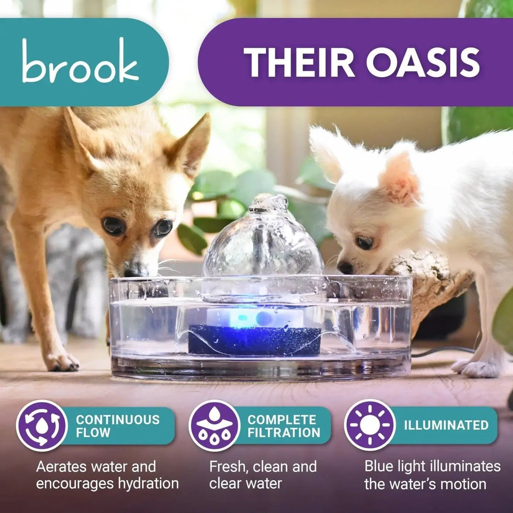 All-Glass Pet Water Fountain product image 2