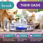 All-Glass Pet Water Fountain product image 2