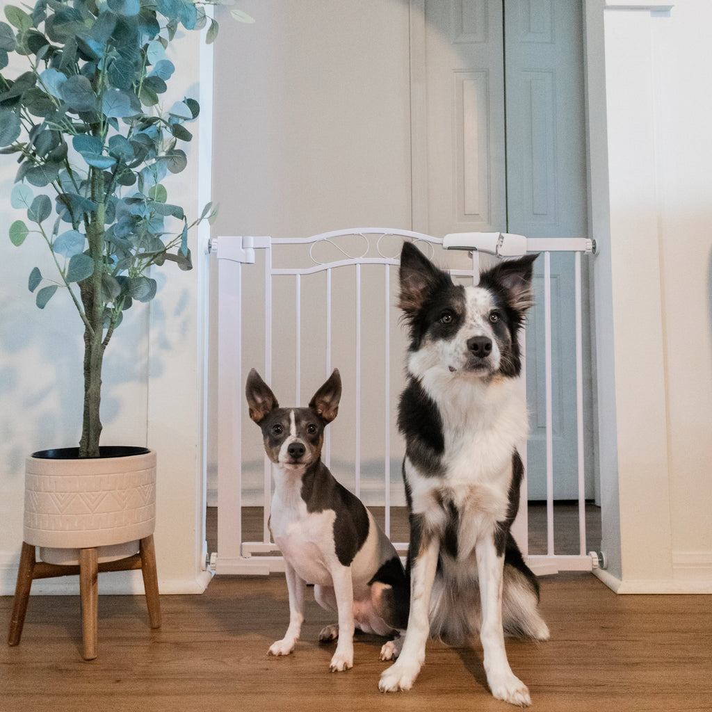 Walk-Through Pet Safety Gate product image 2