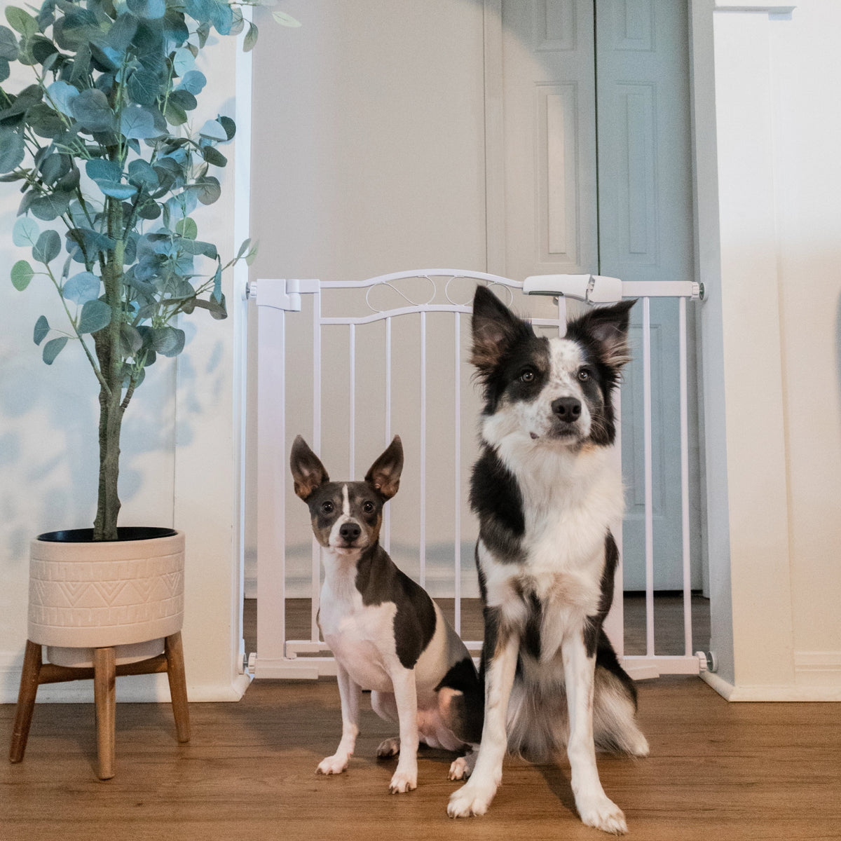 Walk-Through Pet Safety Gate product image 2