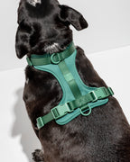 Cushioned No-Pull Dog Harness product image 21