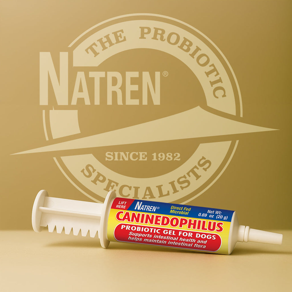 Dog Probiotic Gel product image 1