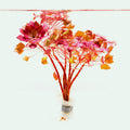 Floating Aquarium Plant product image 1