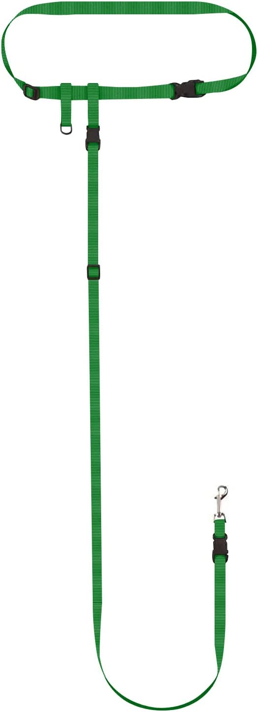 Hands-Free Dog Leash product image 4