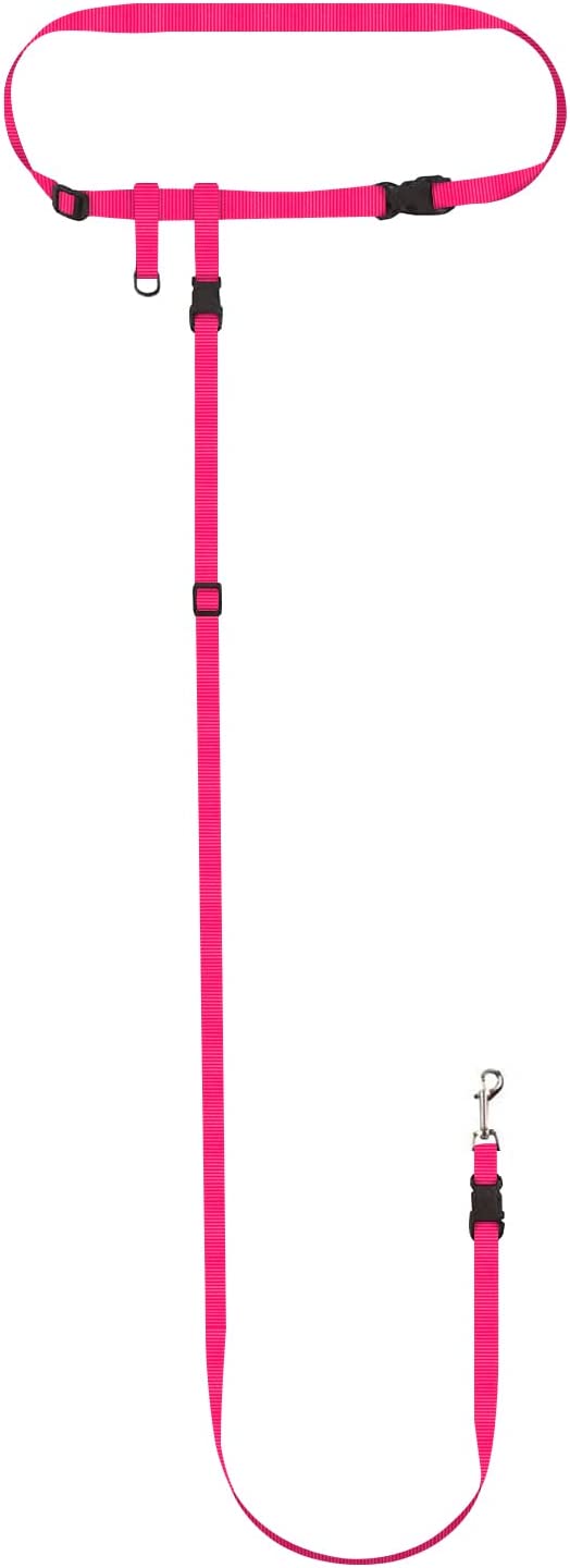 Hands-Free Dog Leash product image 5