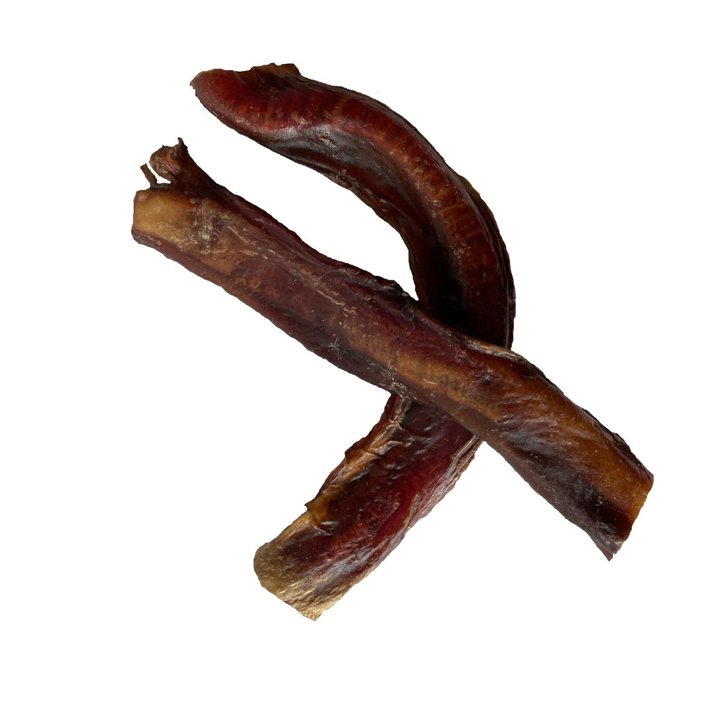 GREAT DOG Bison Pizzle (Bison Bully Sticks) – 5, 6 Inch Sticks | All-Natural, Long-Lasting, USA Sourced & Made