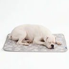 Breathable Cooling Dog Mat product image 21