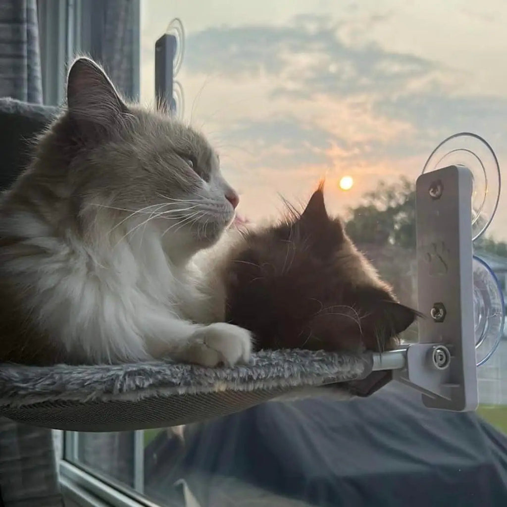 Foldable Window Cat Hammock product image 8