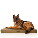 Waterproof Orthopedic Dog Bed product image 15