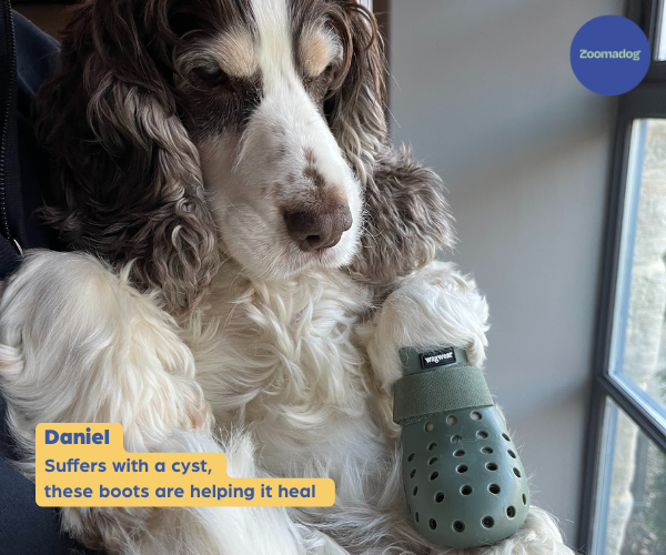 Breathable Rubber Dog Boots product image 31