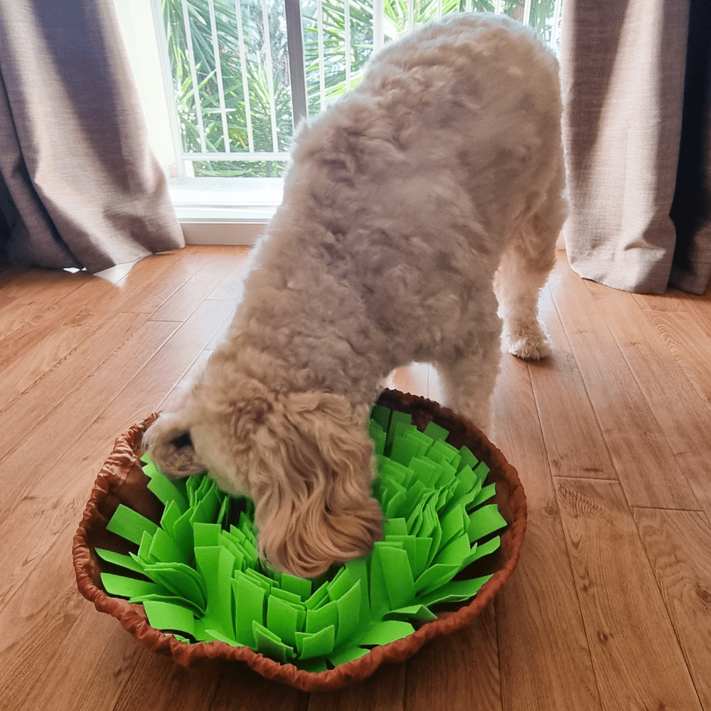 Dog Snuffle Bowl Mat product image 2
