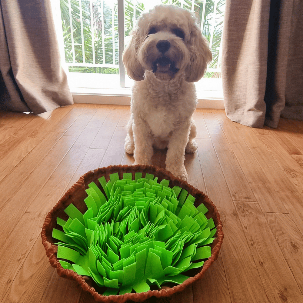 Dog Snuffle Bowl Mat product image 4