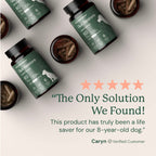 Dog Gut Microbiome Support Capsules product image 6