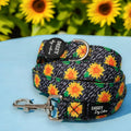 Padded Dog Leash product image 1