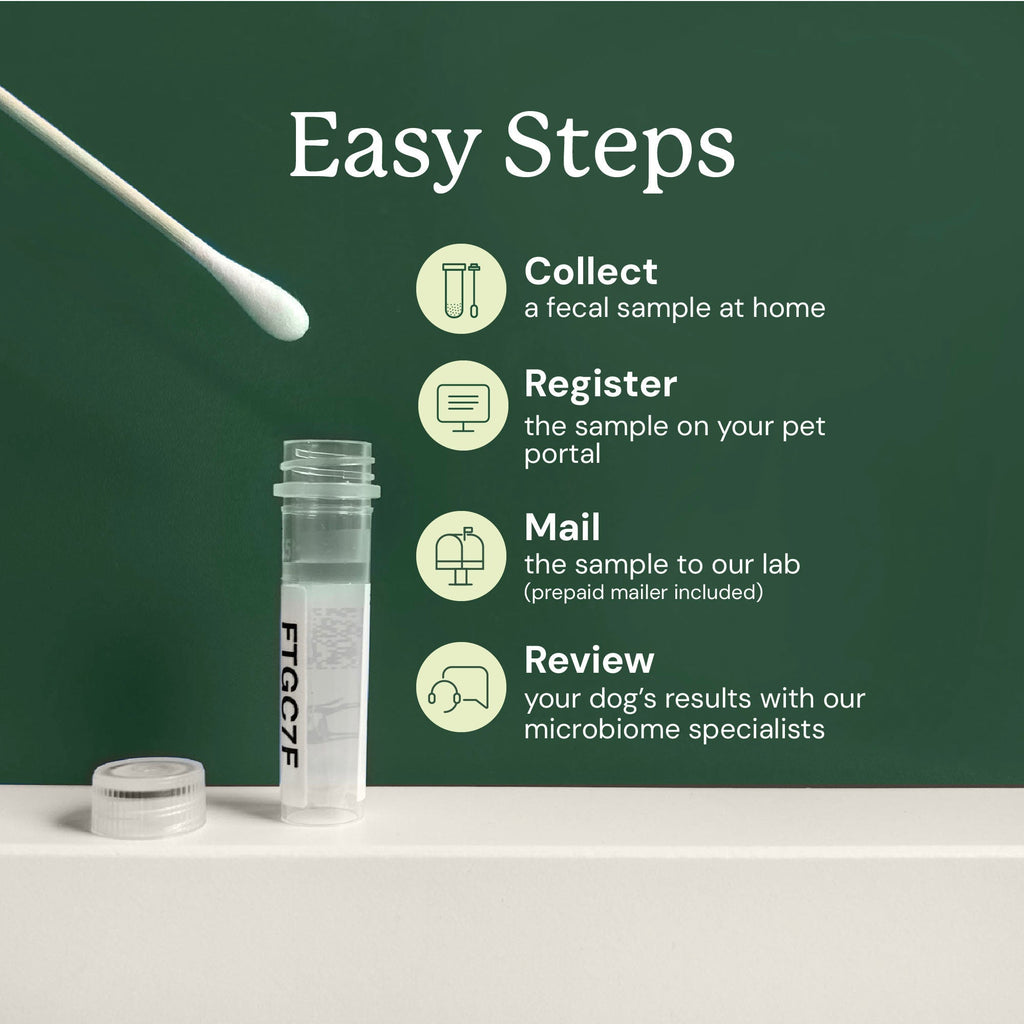 Dog Gut Microbiome Test Kit product image 4