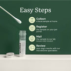 Dog Gut Microbiome Test Kit product image 4