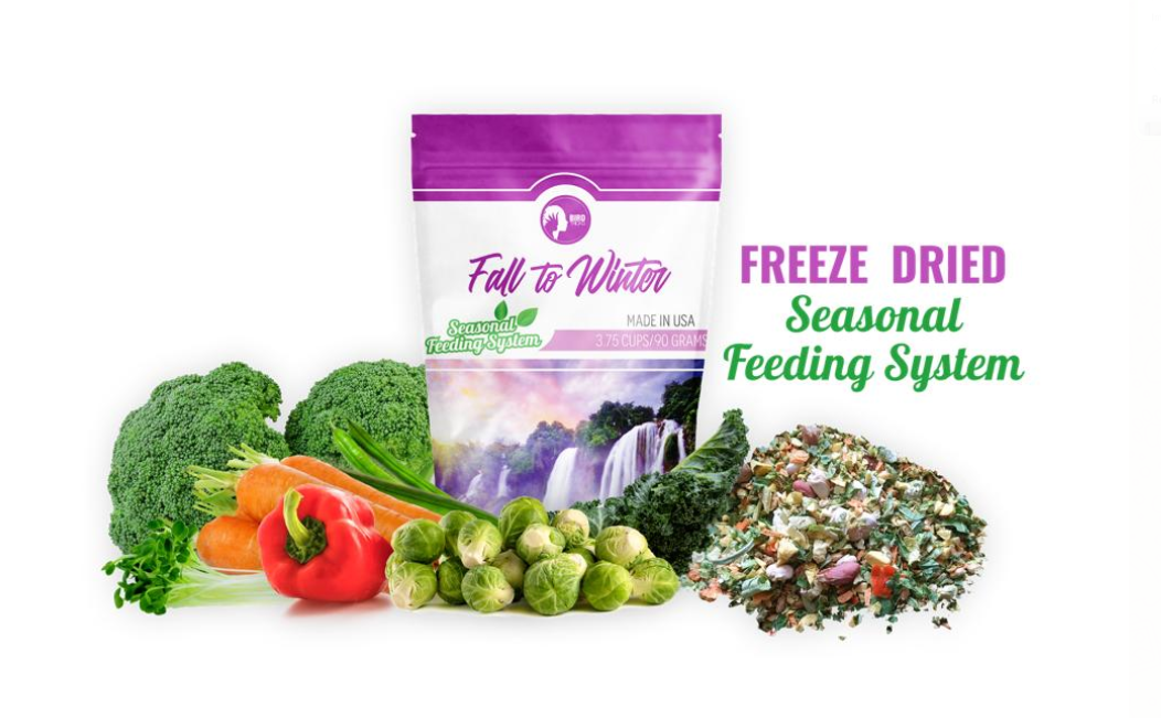 Freeze-Dried Seasonal Parrot Food product image 1