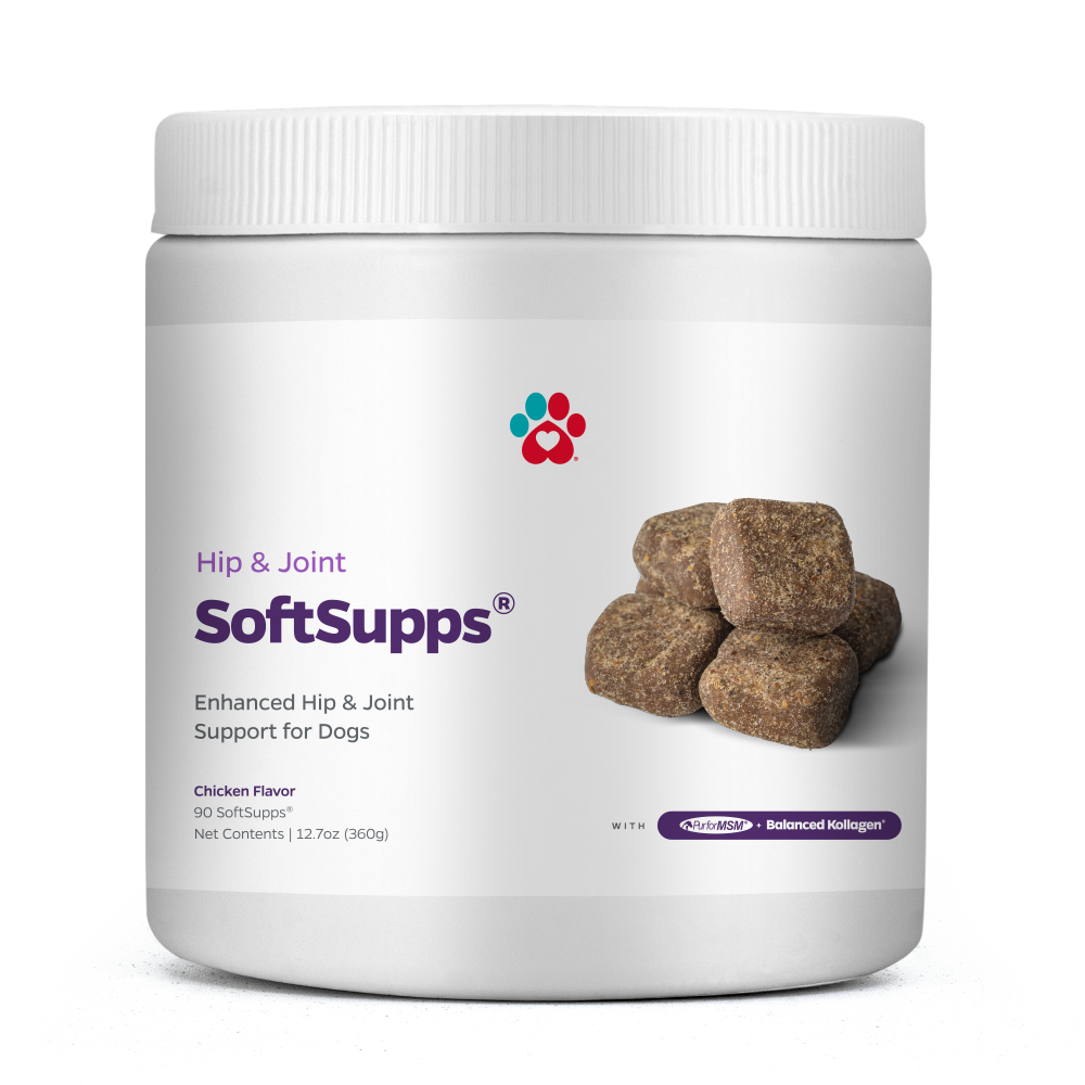 Chicken Hip and Joint Soft Chews for Dogs product image 1