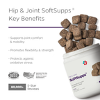 Chicken Hip and Joint Soft Chews for Dogs product image 4