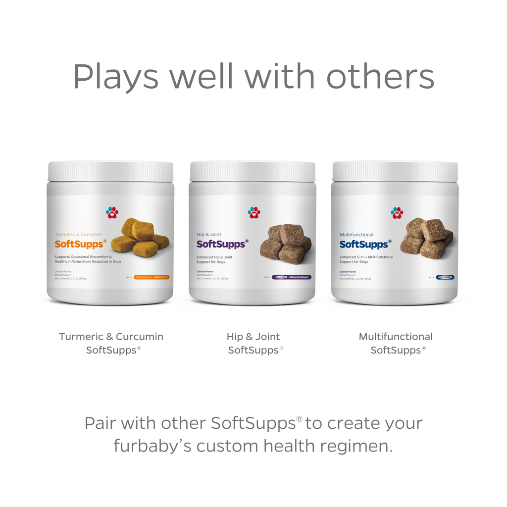 Chicken Hip and Joint Soft Chews for Dogs product image 6