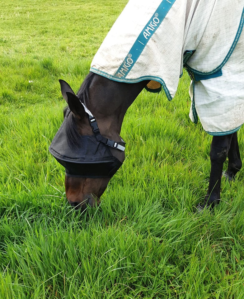 Wraparound Horse Fly Mask product image 10