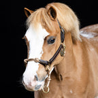 Hybrid Horse Halter product image 2
