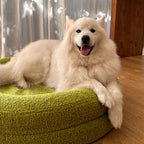 Round Orthopaedic Dog Bed product image 8