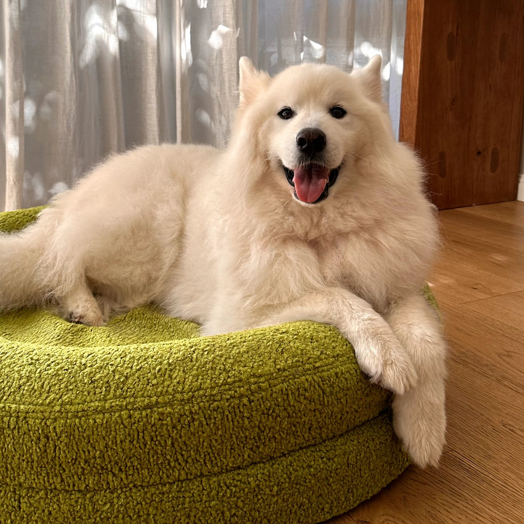 Round Orthopaedic Dog Bed product image 8