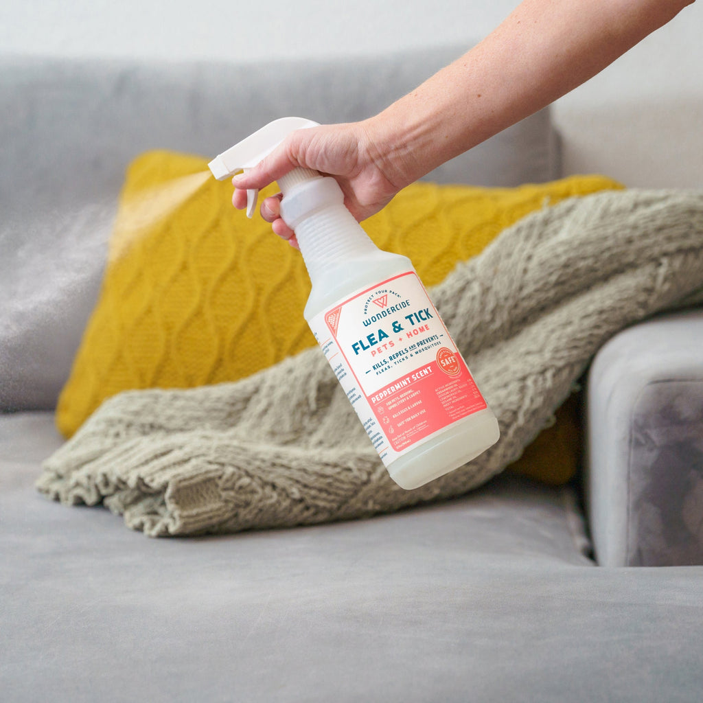 Flea and Tick Spray Kit for Pets and Yard product image 4