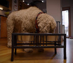 Elevated Double Dog Bowl Stand product image 10