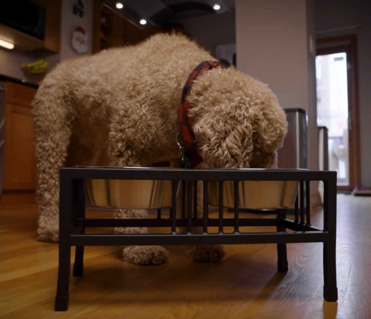 Elevated Double Dog Bowl Stand product image 10