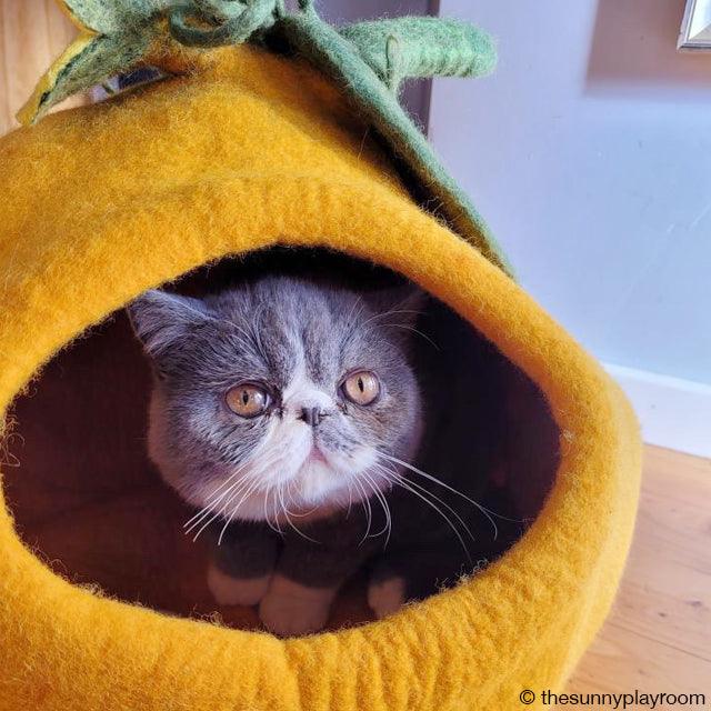 Cat Cave product image 1