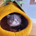 Cat Cave product image 1