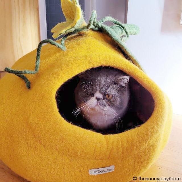 Cat Cave product image 3